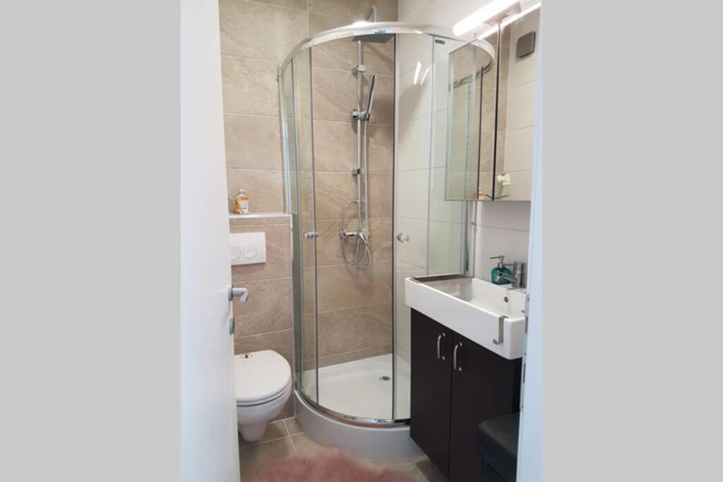 Living Home, Apartament Cu Doua Dormitoare Si Doua Bai Cisnădie Kültér fotó